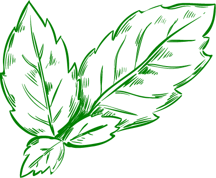 icon thao moc green