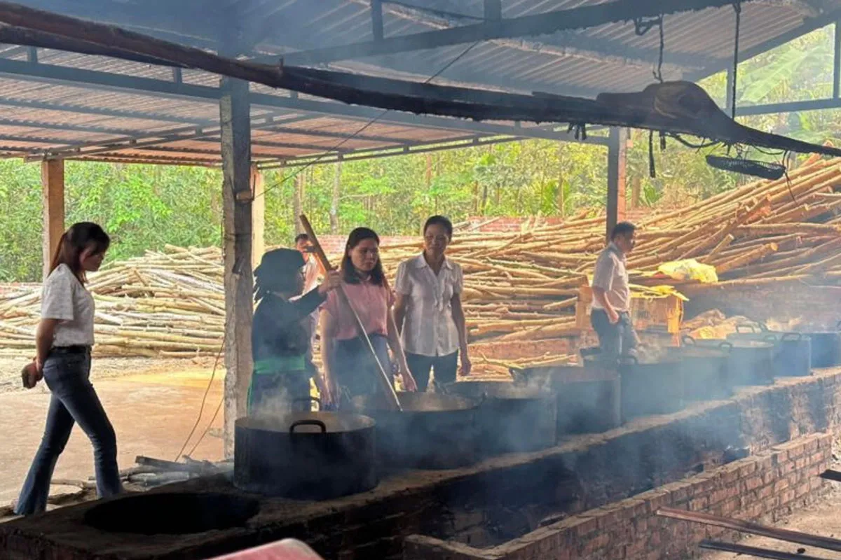 Sự thật về Lương y Nguyễn Thị Thái 61 nha thuoc 2