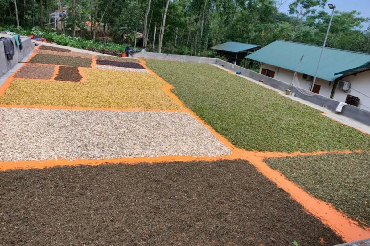 Sự thật về Lương y Nguyễn Thị Thái 64 nha thuoc 5