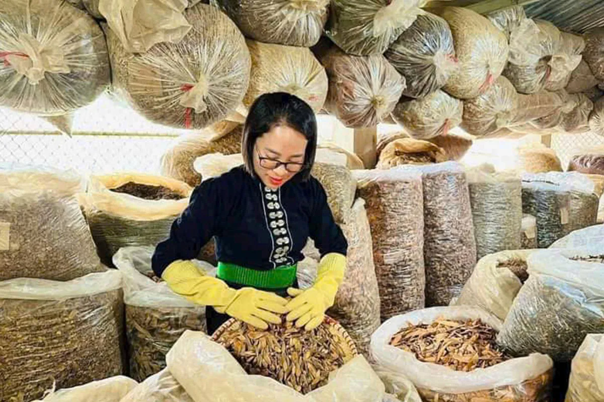 Sự thật về Lương y Nguyễn Thị Thái 65 nha thuoc 6