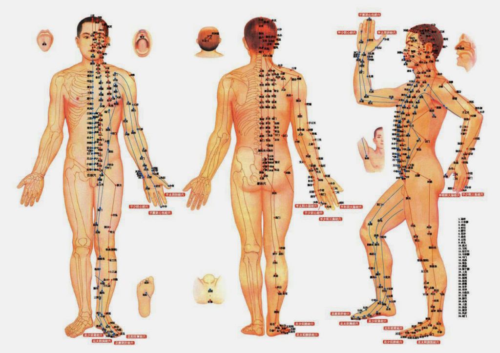 Thuốc đông y chữa vô sinh: Hiệu quả, bài thuốc & Địa chỉ 6 Đông y tiếp cận vô sinh bằng cách cân bằng cơ thể từ bên trong (Ảnh: Sưu tầm internet)